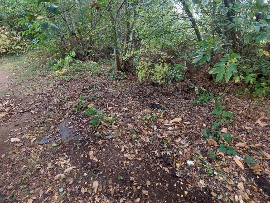 fly tipped waste removal