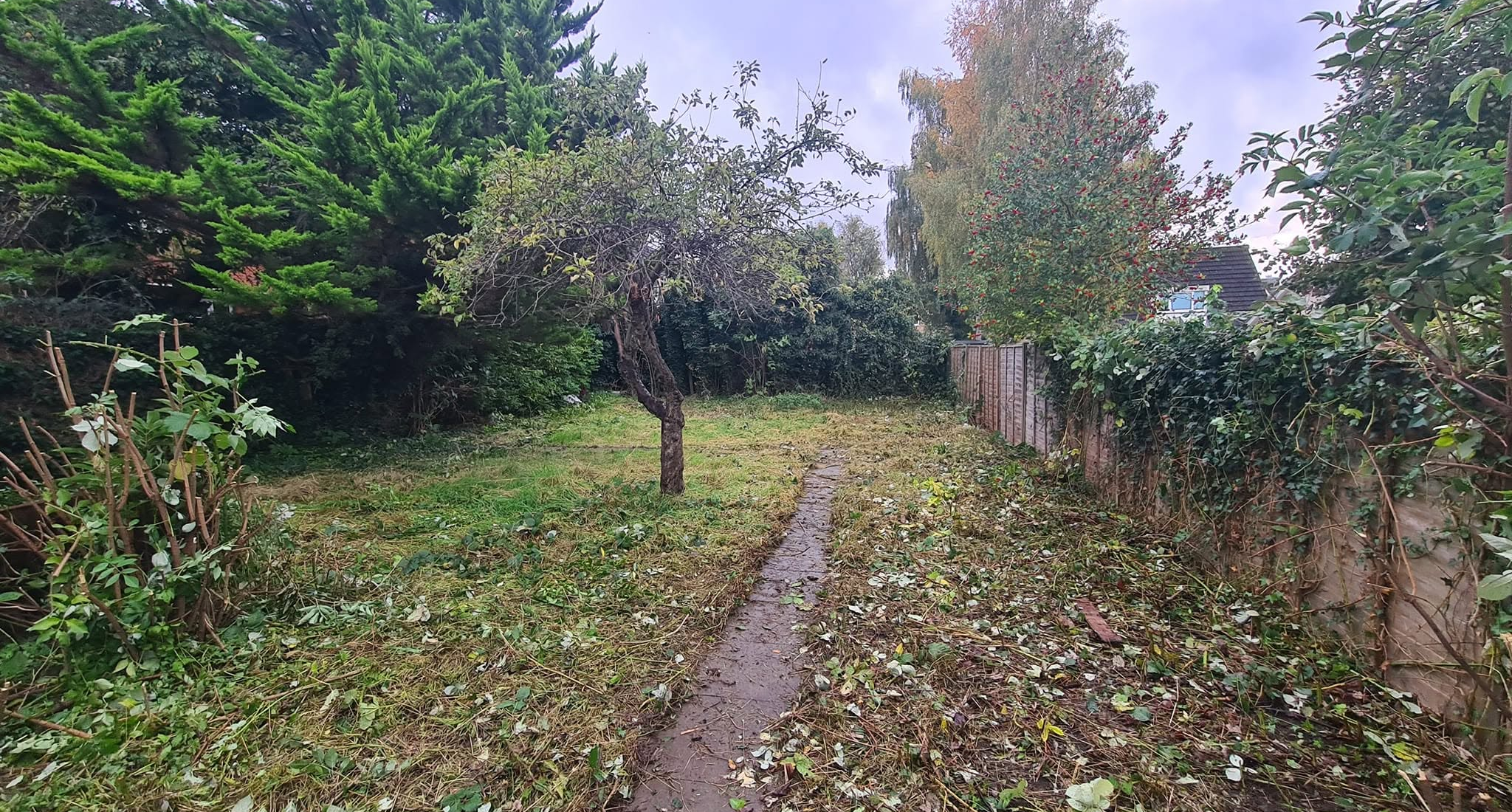 garden-clearance6-after2